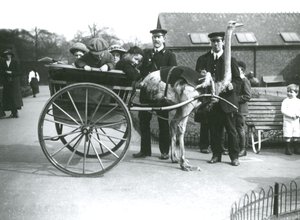 Une Promenade en Chariot à Autruche avec des Enfants et les Gardiens George Blore et William Dexter au Zoo de Londres, c.1913 - Frederick William Bond